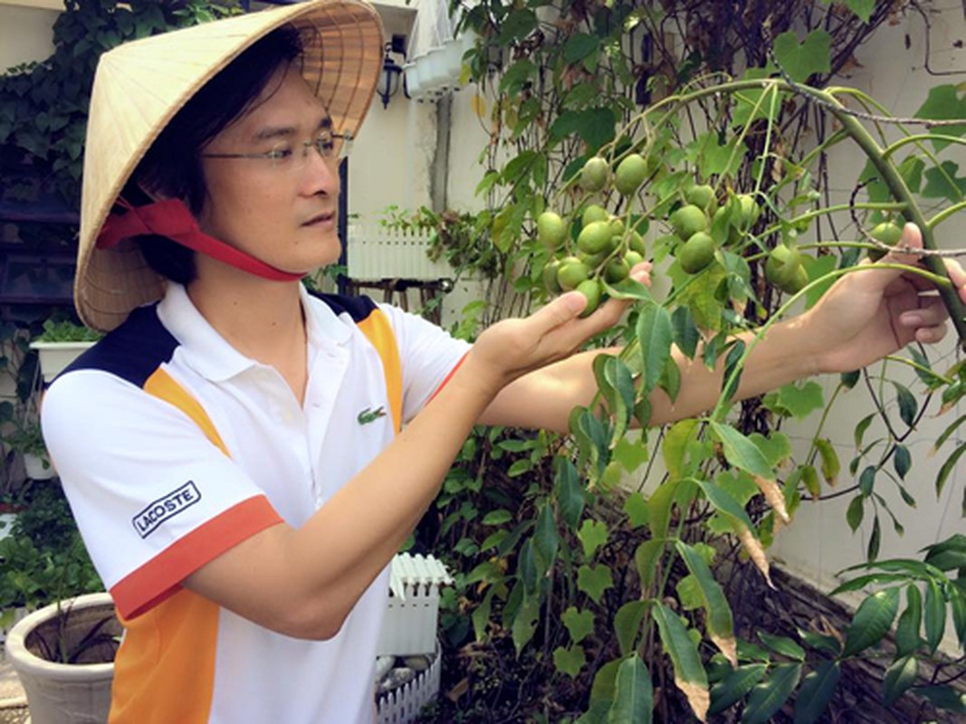 &quot;Dot nhap&quot; vao vuon rau xanh muot mat cua sao nam Viet-Hinh-13